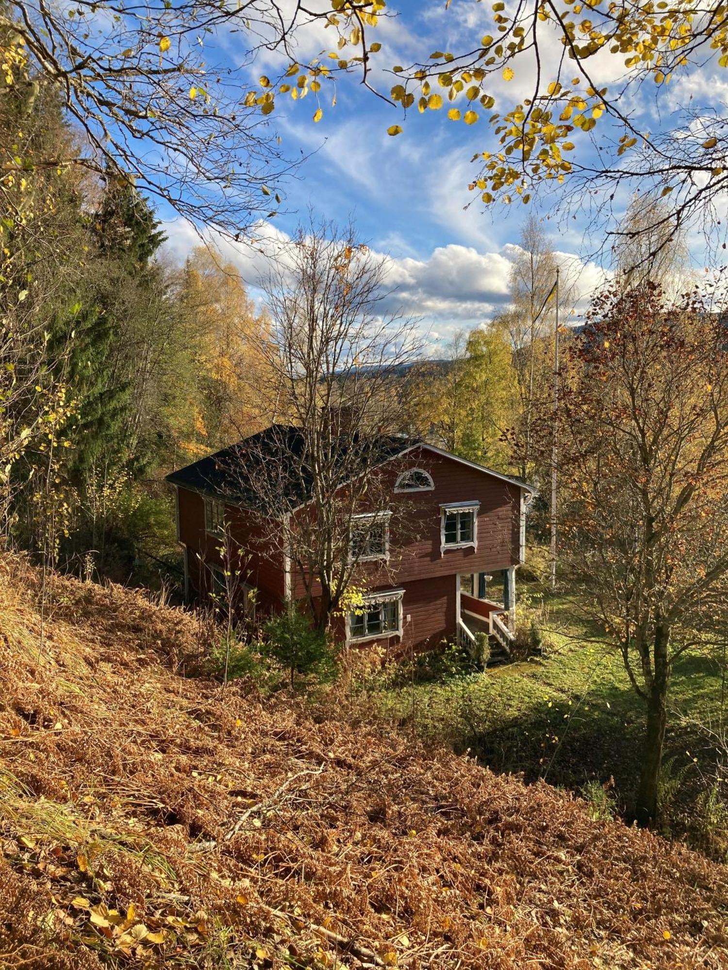 Charmig Villa Med Bastu Och Snabbt Wifi Langav Экстерьер фото